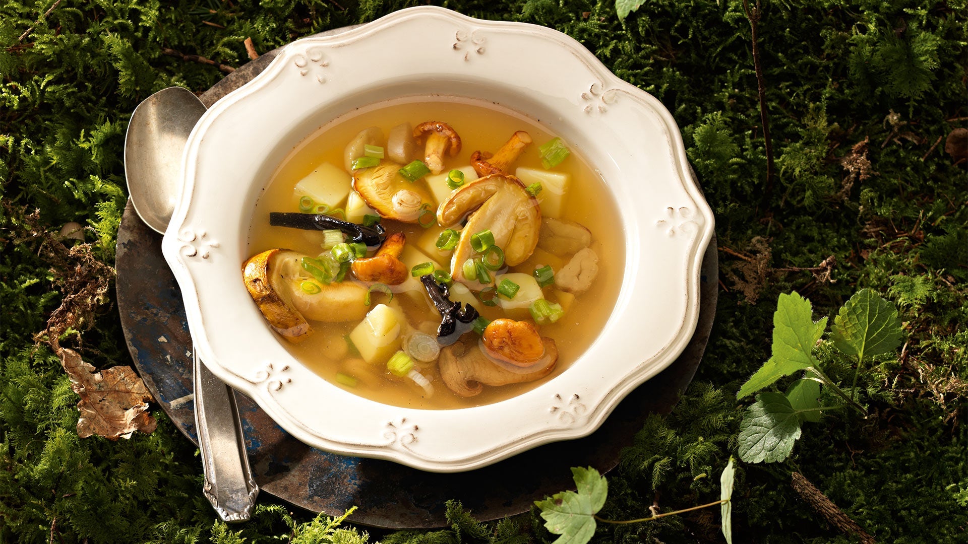 Klare Pilzsuppe mit QUERBEET