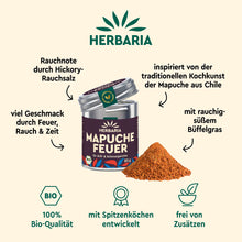 MAPUCHE FEUER