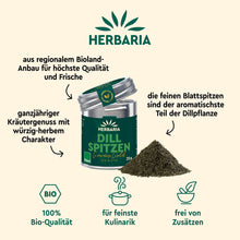 DILLSPITZEN