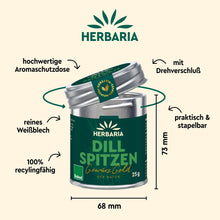 DILLSPITZEN