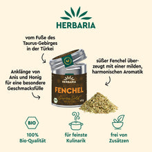 FENCHEL, ganze Samen