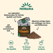 KÜMMEL, ganze Samen